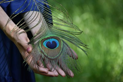 Close-up of woman holding feather