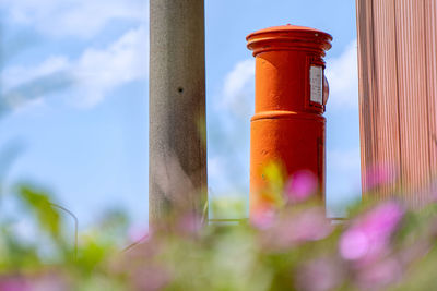 Low angle view of plants against sky