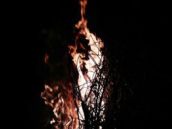 Close-up of fire in the dark