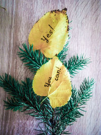 Close-up of text on yellow wall