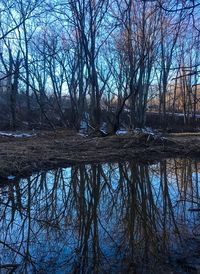 Reflection of bare trees in lake against sky during winter