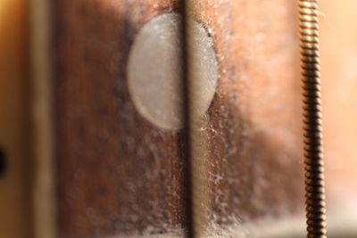 Close up of human hand