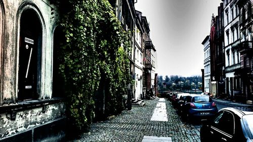 Road along buildings in city