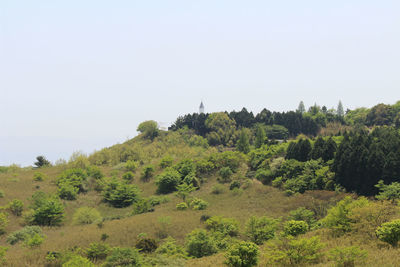 Trees on field against clear sky