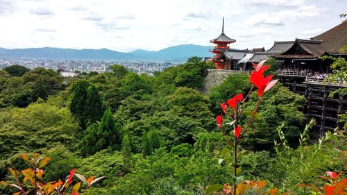 Kiyomizu-dera temple by trees against sky