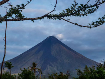 Low angle view of trees against cloudy sky