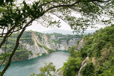 Scenic view of river amidst trees against sky