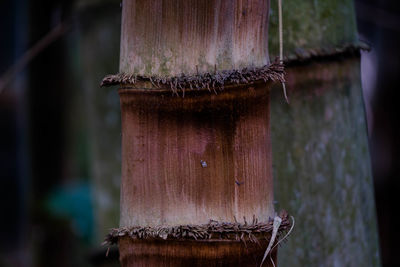 Close-up of rusty metal on wooden post