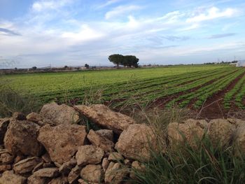 Scenic view of field against cloudy sky