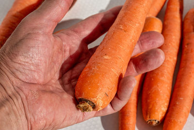 Cropped hand of person holding bread