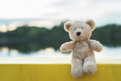 Close-up of teddy bear on yellow wall