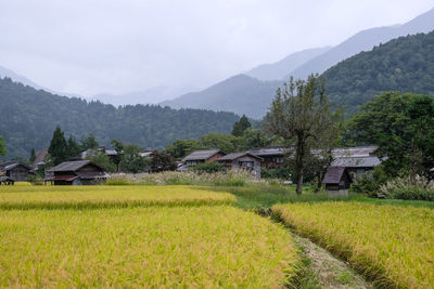 Scenic view of agricultural field by houses and mountains against sky