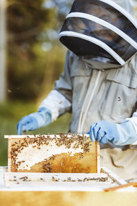 Beekeeper examining honeycomb at field