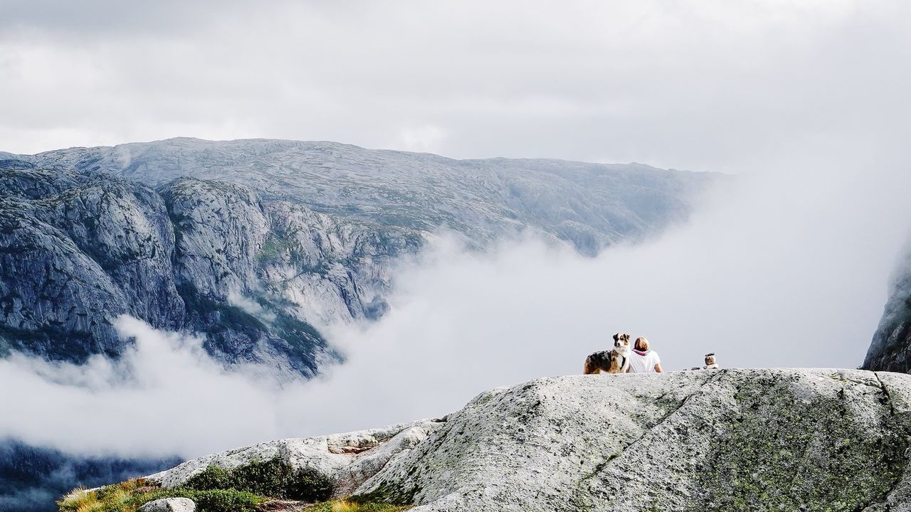 mountain, scenics - nature, beauty in nature, sky, mammal, nature, rock, cloud - sky, non-urban scene, day, real people, tranquil scene, domestic, rock - object, pets, domestic animals, men, mountain range, outdoors