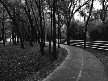 Empty road along trees