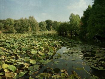 Scenic view of lake against sky