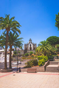 Palm trees by historic building against clear sky