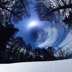 Scenic view of snow covered trees against sky