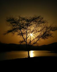 Silhouette tree by lake against sky during sunset