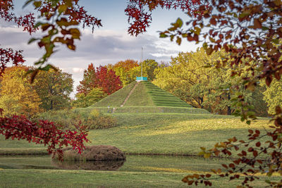 Trees on field against sky during autumn