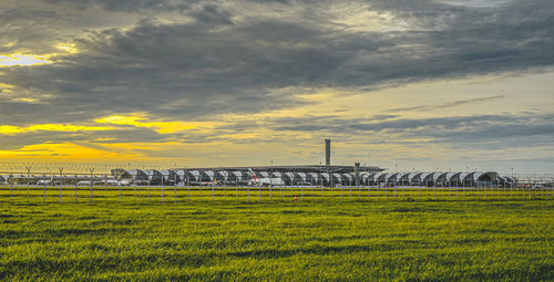 Scenic view of field against sky during sunset