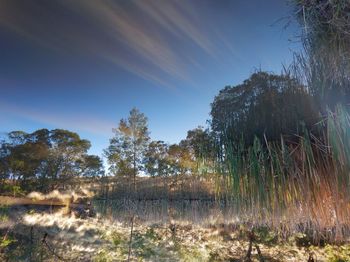 Scenic view of river against sky