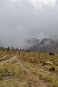 A hiker in the foggy landscapes in mount kenya