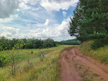 Road near the forest against a blue cloudy sky