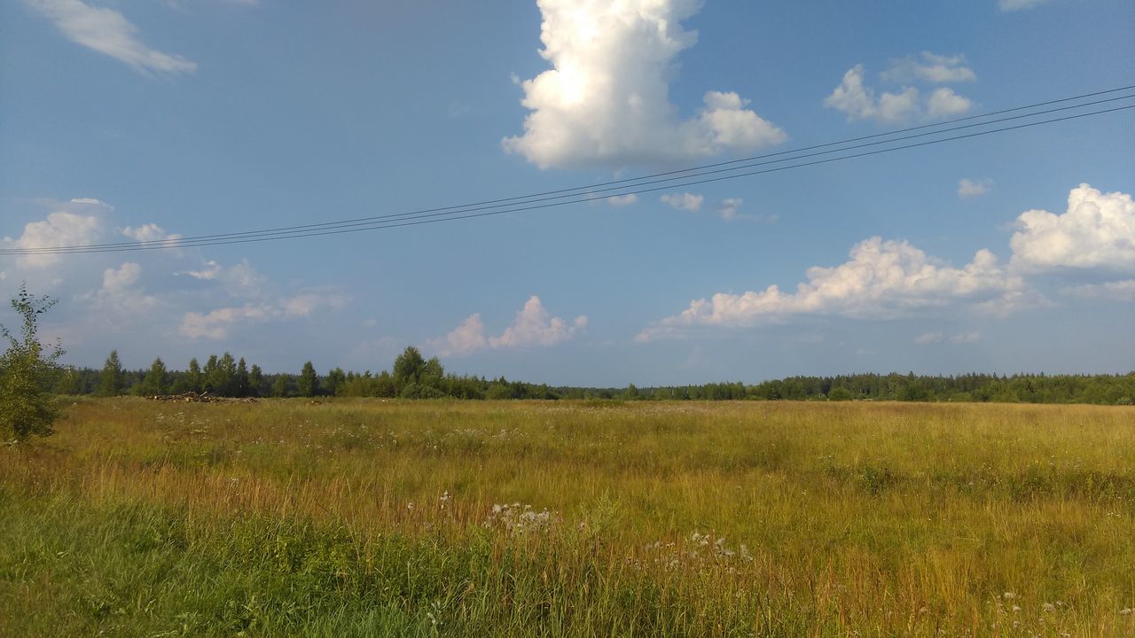 sky, field, landscape, grass, tranquil scene, tranquility, cloud - sky, scenics, cloud, rural scene, beauty in nature, nature, growth, grassy, agriculture, green color, blue, plant, cloudy, horizon over land, non-urban scene, day, no people, outdoors, remote, idyllic, non urban scene, green