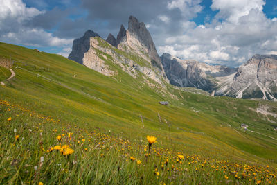 Scenic view of field against sky