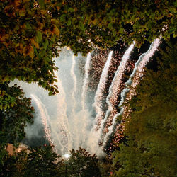 View of waterfall in forest