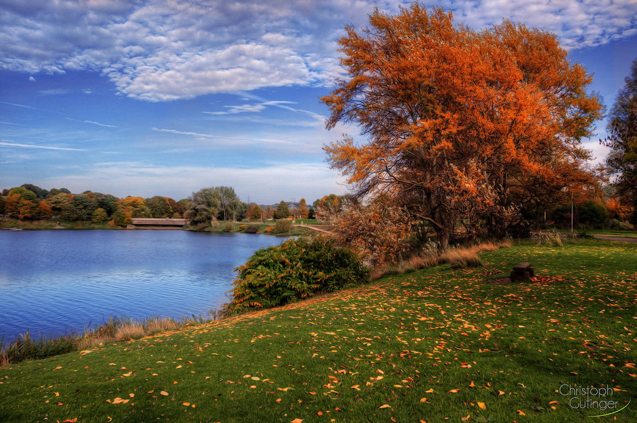 water, sky, tree, tranquil scene, tranquility, lake, grass, scenics, beauty in nature, nature, reflection, growth, cloud - sky, cloud, plant, idyllic, river, lakeshore, landscape, grassy