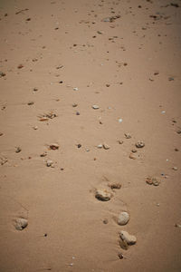 High angle view of footprints on sand at beach