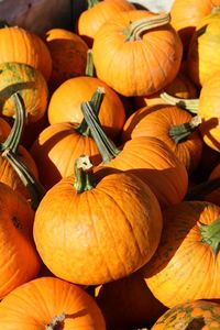 High angle view of pumpkins for sale at market stall