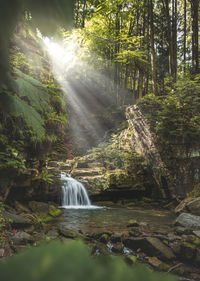 Waterfall in forest