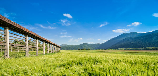 Scenic view of landscape against sky