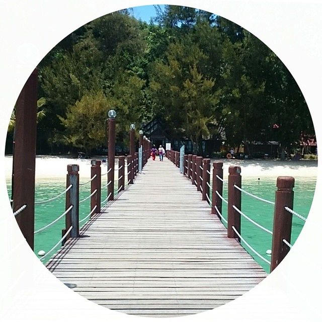 tree, water, bridge - man made structure, railing, the way forward, connection, footbridge, diminishing perspective, built structure, clear sky, river, bridge, tranquility, architecture, nature, day, tranquil scene, vanishing point, transportation, park - man made space