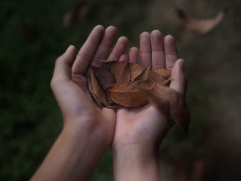 Closeup of a kid hands carrying dry leafs that are dropping from a tree. selected focus.