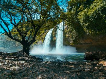 Scenic view of waterfall