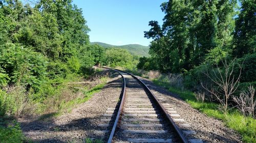 Railway tracks and trees against clear sky