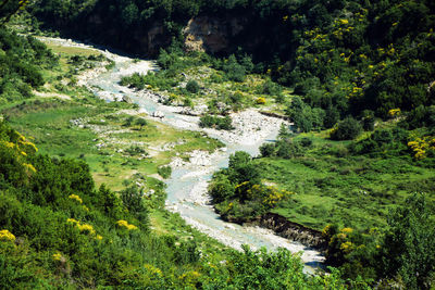 High angle view of waterfall amidst trees in forest