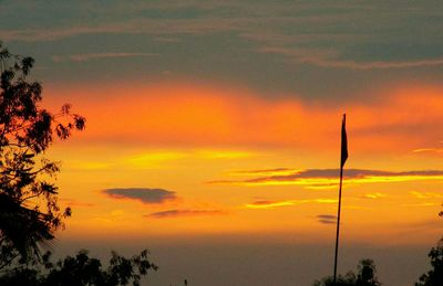 Silhouette of trees at sunset