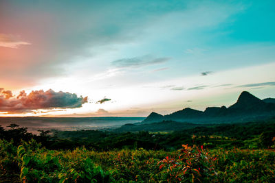 Scenic view of landscape against sky during sunset