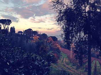 Scenic view of landscape against sky at sunset