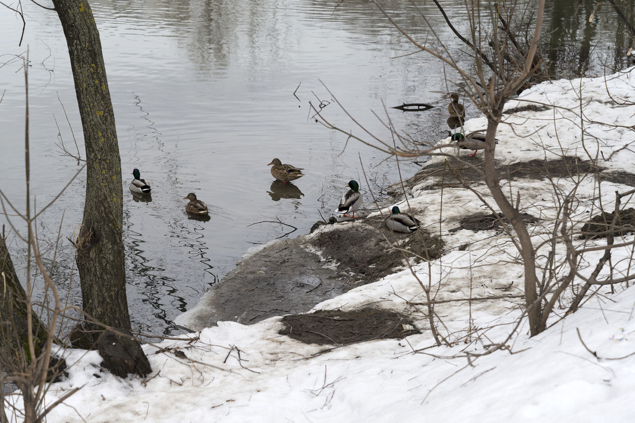 SCENIC VIEW OF LAKE DURING WINTER