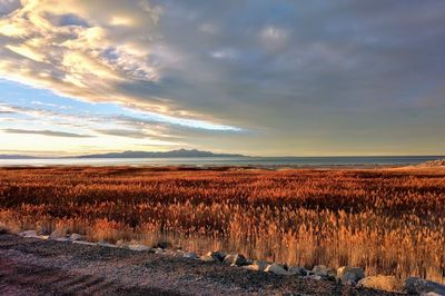 Scenic view of field against sky during sunset