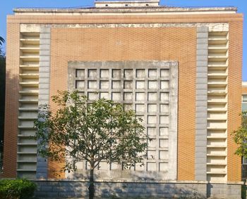 Close-up of tree against building