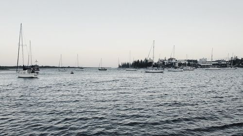 Sailboats sailing in sea against clear sky