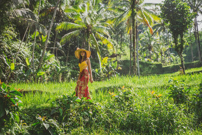 Young woman at rice terrace