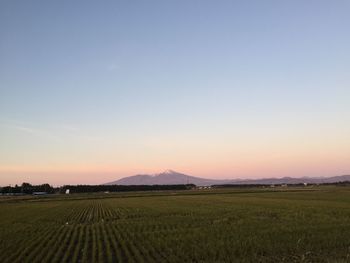 Scenic view of agricultural field against sky during sunset